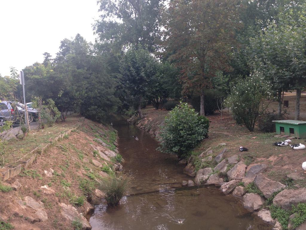 El Ansar *